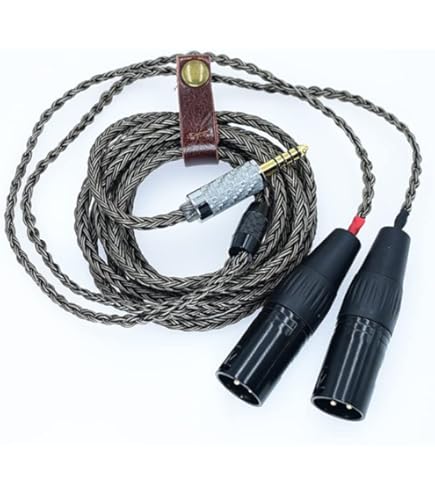 Amazon.com: iFi 4.4mm to XLR Cable SE – Balanced to Dual XLR Male