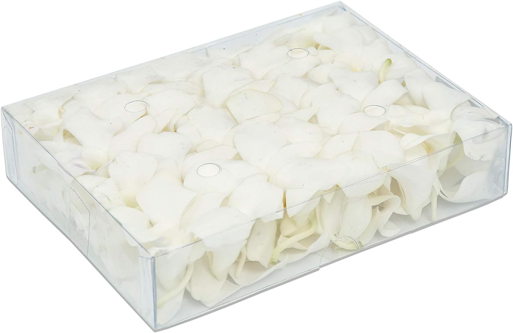 Fresh Dendrobium Orchid Heads Blooms (50 Pieces/Box) - Natural White