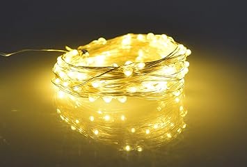 Amazon Co Jp Zaz イルミネーション 100球 10m アイボリー Usb電源 フェアリーライト ジュエリーライト Led スイッチ付き おしゃれ 室内用 ワイヤーイルミ 点灯のみ 点滅なし クリスマス ハロウィン パーティーグッズ Kogata Irumi A 006 ホーム キッチン