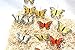 butterfly artificial made of feather (3.25'' flower mix color)