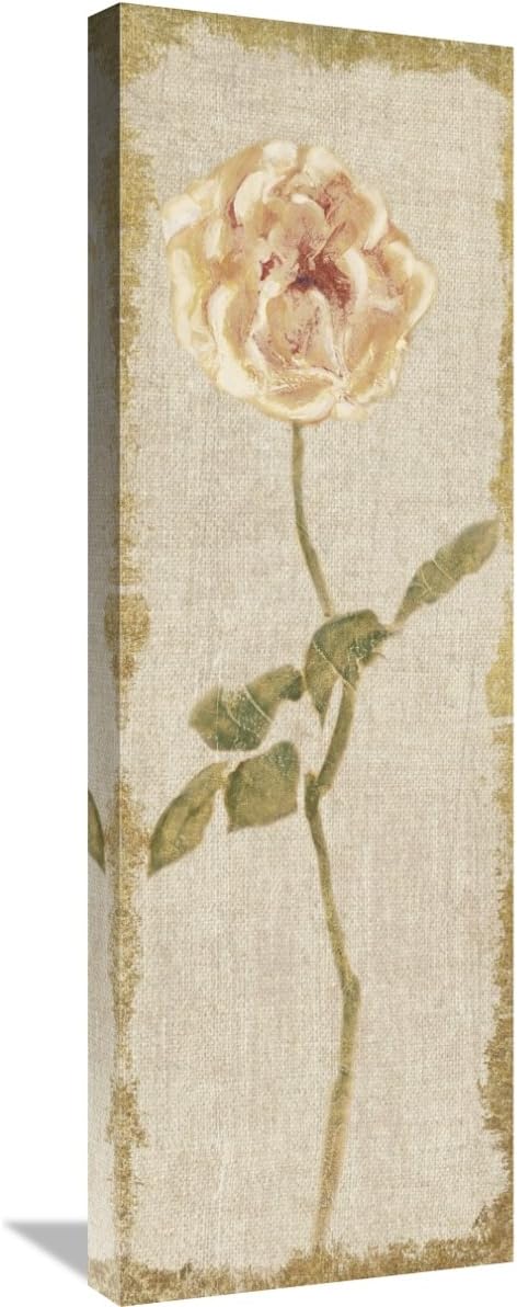 Global Gallery Cheri Blum 'Pale Rose Panel on White Vintage' Giclee Stretched Canvas Artwork, 12" x 36"