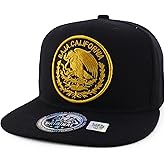Trendy Apparel Shop Cities of Mexico Circular Logo Embroidered Flatbill Snapback Baseball Cap