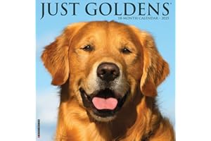 Just Goldens 2025 12" x 12" Wall Calendar