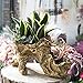 NCYP Artificial Twisted Driftwood Planter Resin Tree Toot Flower Pot Large Sculpture Succulent Air Plants Multilayer Irregular Hallow Out Holder for Decoration 13 X 5.5 X 7 Inches (No Plants)