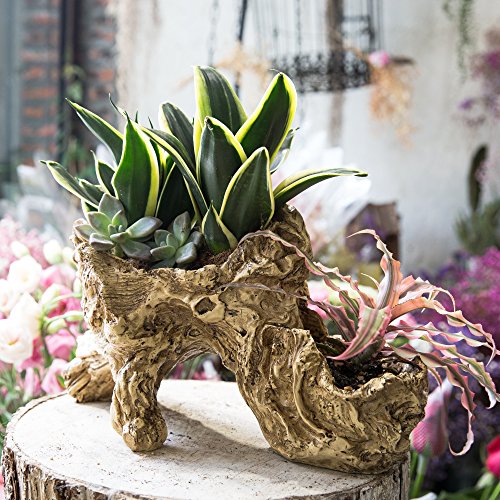 NCYP Artificial Twisted Driftwood Planter Resin Tree Toot Flower Pot Large Sculpture Succulent Air Plants Multilayer Irregular Hallow Out Holder for Decoration No Plants 13 X 5.5 X 7 Inches - Thumbnail 4