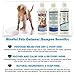 Mindful Pets Oatmeal Dog Shampoo, Hypoallergenic, Antifungal, 16 Ounce