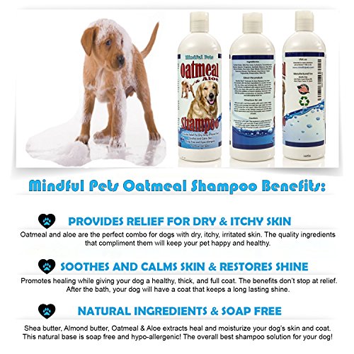 Mindful Pets Oatmeal Dog Shampoo, Hypoallergenic, Antifungal, 16 Ounce