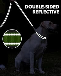 Taglory Dog Leash for Small Dogs, Double-Sided