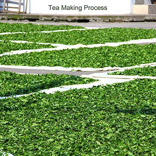 Yan Hou Tang Organic Chinese Green Tea bags - 100 Counts Simple Pack Pure Himalaya High Mountain Fragrance Flavor Taste Japan Sachet