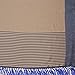Rajnandini Indian Traditional Saree with blouse, Tussar Silk Stripes Printed Sarees for women (JOPLNB3011A_Beige&Blue_Free Size)