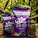 Female Rituals Steam Therapy (1 Ounce) Yoni Steaming Herbs Natural V Steam Yoni Steam Detox Kit