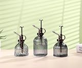 Eidoct Glass Plant Mister Spray Bottle Gray Bronze Top 7 Oz 6.5” view 7