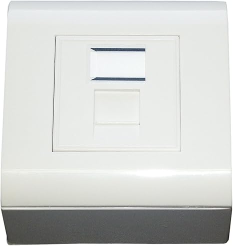 MCL - Caja de Enchufe (Cat6A, UTP, 1 Conector RJ45): Amazon.es: Informática