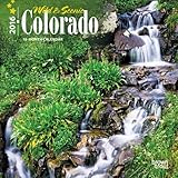 Colorado, Wild & Scenic - 2016 Mini Wall Calendar 7 x 7in by 