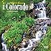 Colorado, Wild & Scenic - 2016 Mini Wall Calendar 7 x 7in by 