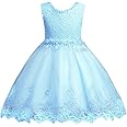 DreamHigh Flower Girl's Floral-Embroidered Pearl Embellished Evening Dress Up 3-10Y