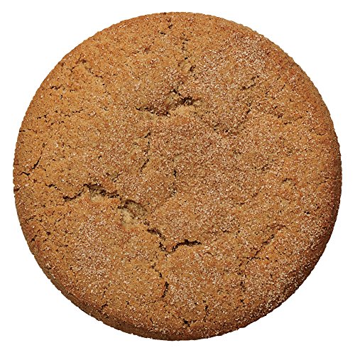 2 Lenny+Larrys+Complete+Snickerdoodle+Protein