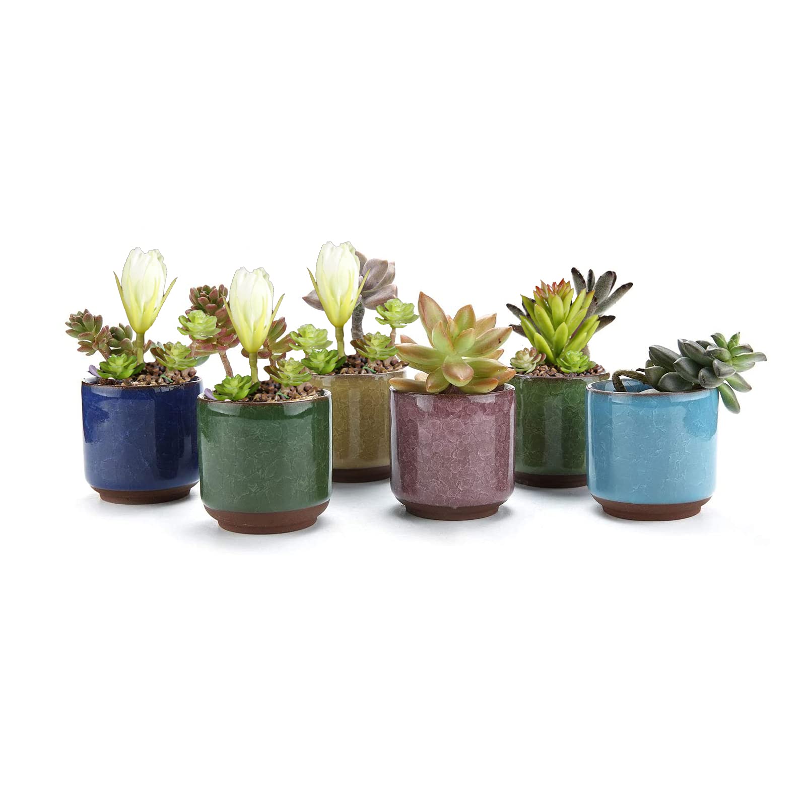 6 colours ceramic succulent pots, cactus plant pots, mini flower pots, can be used to grow cacti, succulents and some small flowers and grasses