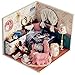 Flever Dollhouse Miniature DIY House Kit Creative Room with Furniture and Glass Cover for Romantic Artwork Gift( Folk Song of Winter )