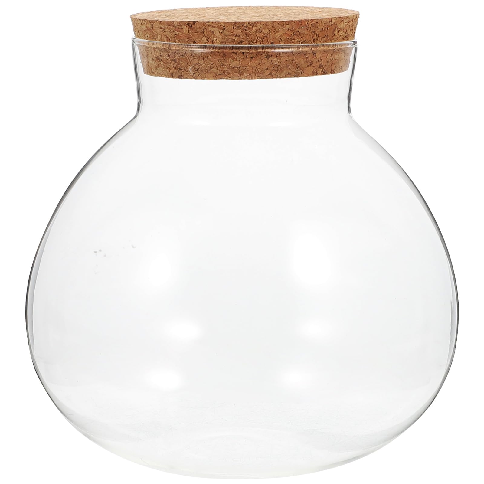 Wensmy Glass Bottle Hydroponic Terrarium Container - Round Succulent Vase With Lid for Air Plants
