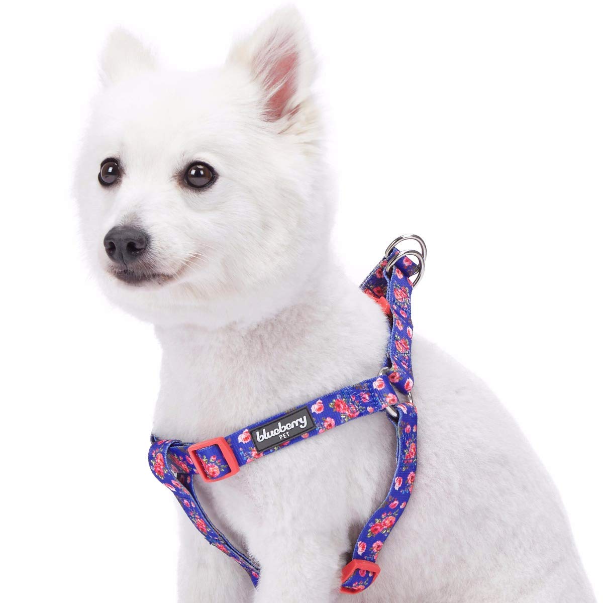 Blueberry Pet New Step-in Spring Scent Inspired Rose Print Irish Blue Dog Harness, Chest Girth 67cm-98cm, Large, Adjustable Harnesses for Dogs