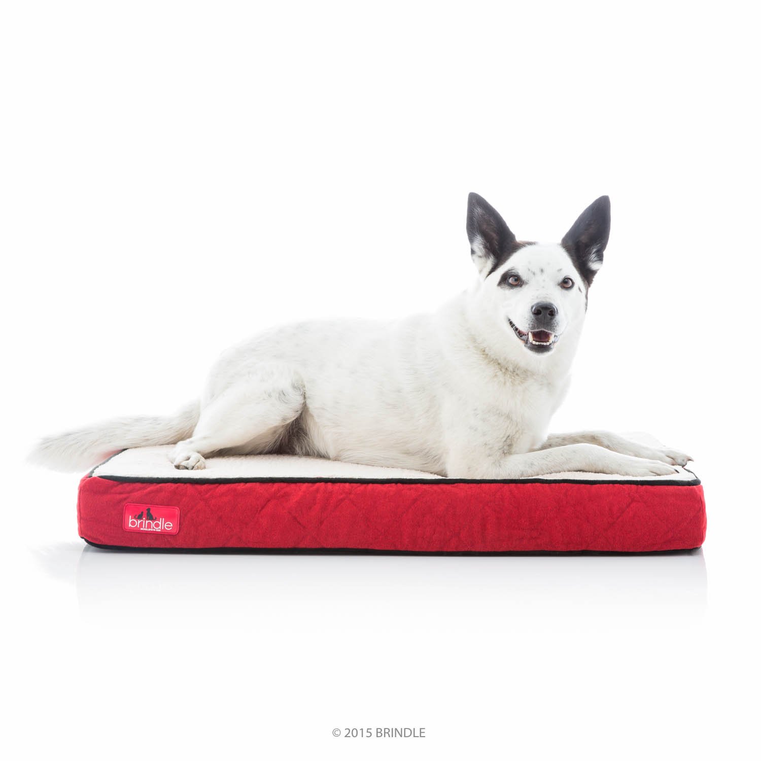 Chew Resist Waterproof Memory Foam Dog Pet Bed Medium Pet Cozy Bed