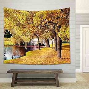 Beautiful Autumn Forest in Park 