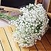 NO:1 Silk Artificial Baby Breath Gypsophila Flower Wedding Home Decor Gift (10pcs)