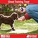 Raw Paws Sweet Potato Treats for Dogs, 6-oz - Made in The USA Training Treats for Dogs - Vegetarian, Vegan Dog Treats - Natural Sweet Potato Dog Treats - Low Fat, Gluten Free Puppy Training Treats