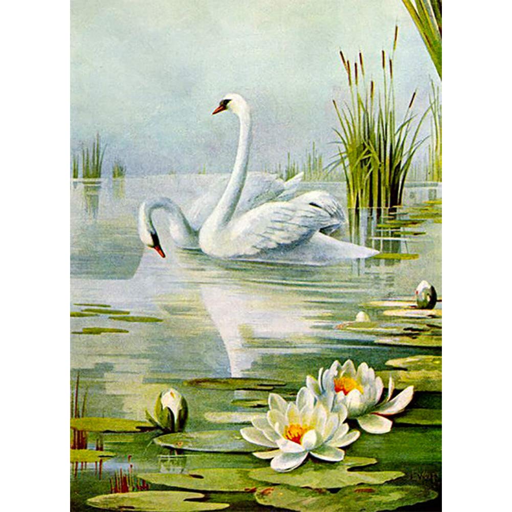 DIY 5D Diamond Painting by Numbers Kits, White Swans Love Water Lilies Lotus, Full Drill Rhinestones Paint with Diamonds Crystal Diamond Art (Swan)