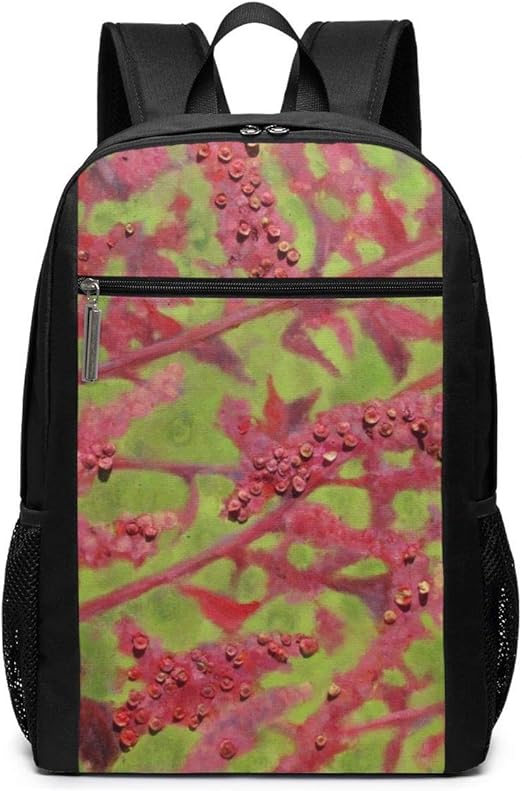 red mountain school bags
