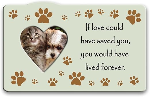 if love could have saved you pet memorial