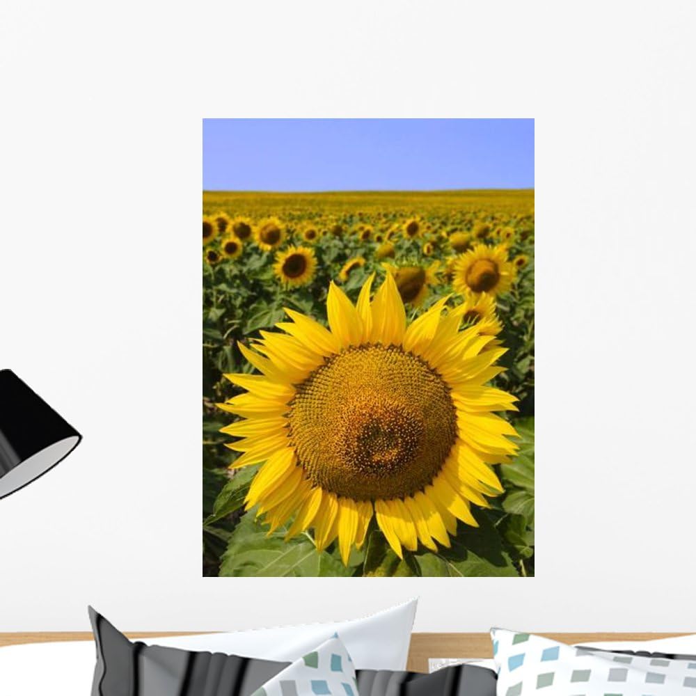 Wallmonkeys Field of Sunflowers Wall Decal Peel and Stick