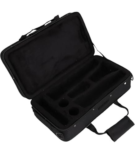 Étui De Rangement Pour Clarinette Ou Saxophone - Tissu Oxford Noir, Rembourré, Imperméable, 73x16x12cm
