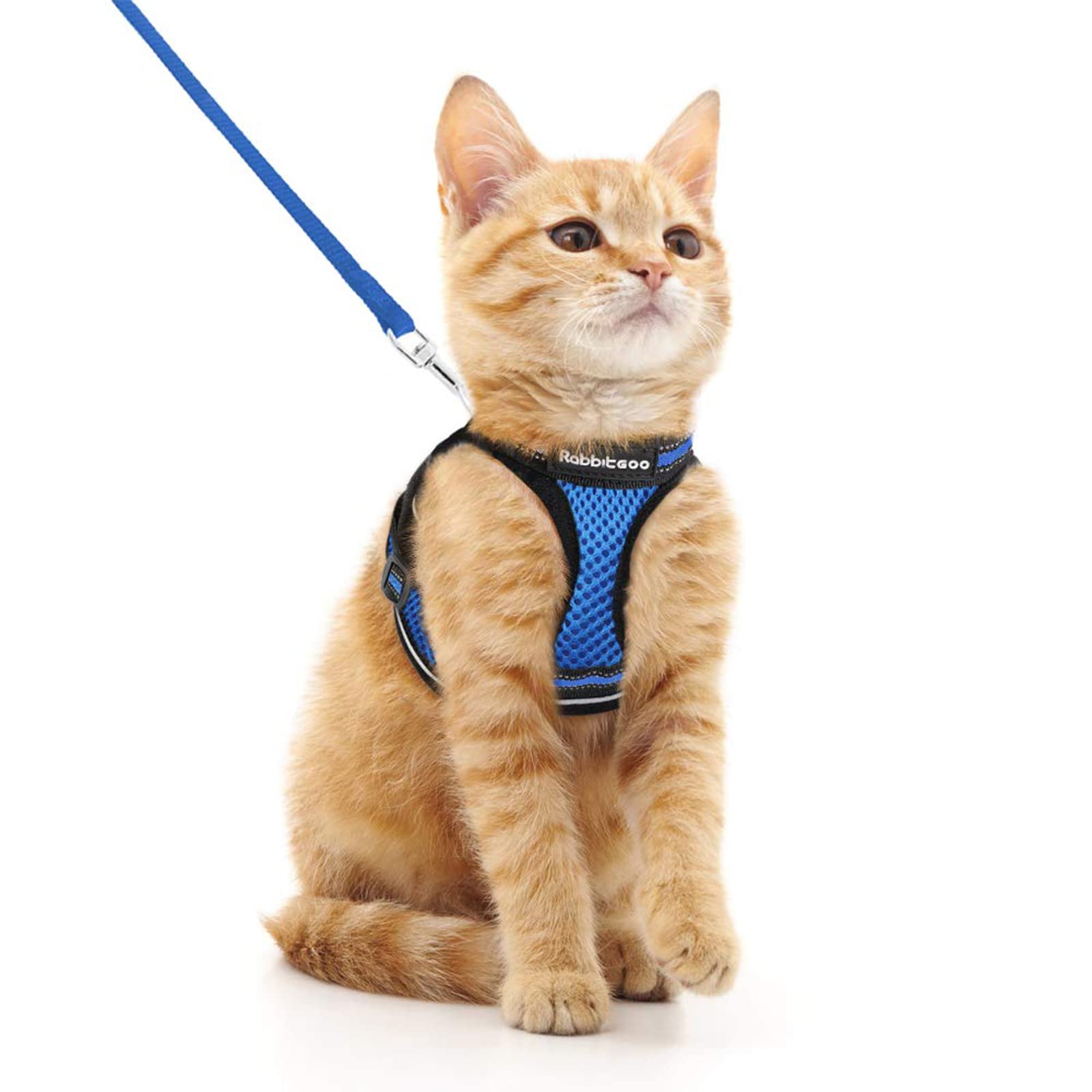 rabbitgoo Cat Harness and Leash Set for Walking Escape Proof, Adjustable Soft Kittens Vest with Reflective Strip for Extra Small Cats, Comfortable Choke-Proof Outdoor Vest Harness, Blue, M