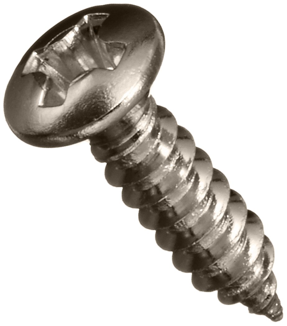 SCUD ピックガードネジ、ミリサイズ、12P ニッケル TS-01NH商品画像