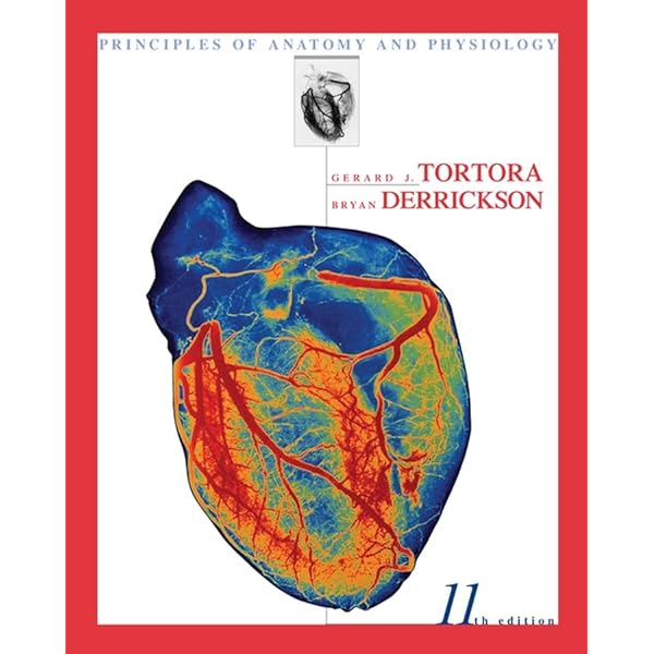 洋書　vertebrate anatomy Comparative Anatomy: Manual of Vertebrate Dissection