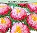 Paper Flowers Pink ! Pack of 8 Pieces Giant 15