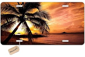 Amcove License Plate Tropical Paradise Ocean Beach Scene with Palm Trees Decorative Car Front License Plate,Vanity Tag,Metal Car Plate,Aluminum Novelty License Plate,6 X 12 Inch (4 Holes)