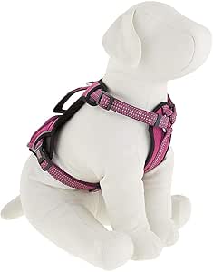 kong pocket harness