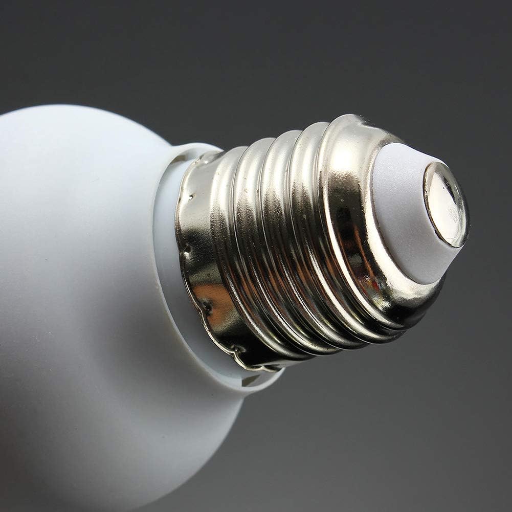 Lampade Uvb Per Tartarughe Di Terra