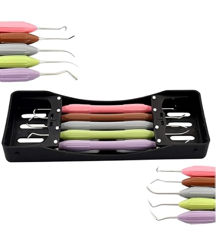 Dent Typodont Pour Pratique Endodontique (canal Radiculaire) - Modèle M8006 - Dents #14 Et #46 - Neuf Pour étudiants Dentaires