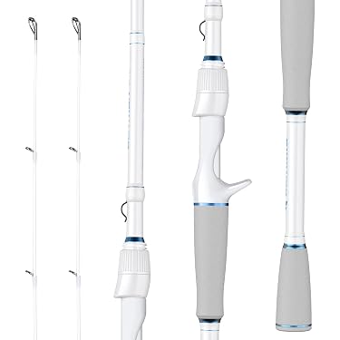 Amazon 暢銷商品: 最佳釣魚竿