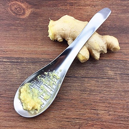 STORE-HOMER - Ginger Grater Spoon Stainless Steel Ginger Tea Spoon Garlic Grater Lemon Zester For Home Kitchen Fruit Vegetable Tool