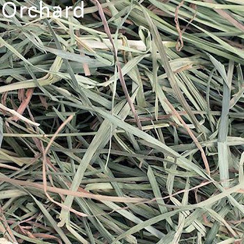 Small Pet Select Hay, Sampler Box