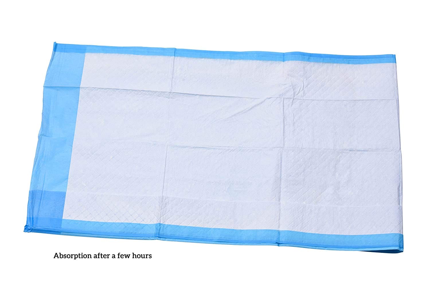 A WORLD OF DEALS INC2336R Disposable Blue Underpad 23 X 36, 150/Case: Industrial & Scientific