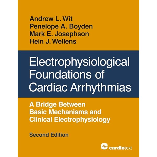 Amazon.com: Cognitive Grammar: A Basic Introduction: 9780195331967