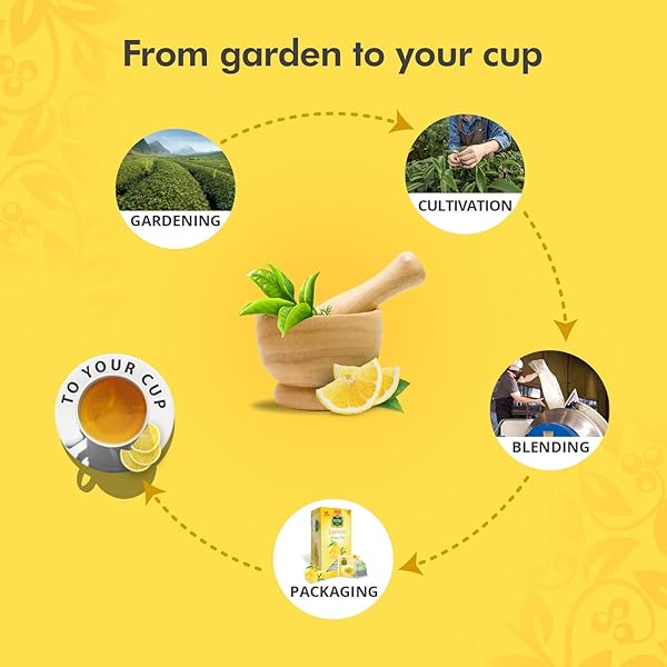 GREEN TEA LEMON, COUNT OF 30 TEA BAGS – FLAVOURFUL TASTE OF GREEN TEA, FRESHLY AND CAREFULLY PACKED WITH ORIGINAL & NATURAL FLAVOUR OF LEMON TEA, AROMATIC GREEN TEA BY VITAL PRODUCTS