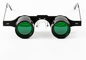 Nhlzj WEIDONG Worth Having - 10 X Fishing Binocular Glasses,Professional Hands Free Magnification Sports,Concerts,Theater,Opera,TV Magnifiers (Color : Green)