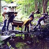 Disco de White Rabbits: «Cotillion Blues [Vinyl]» (Anverso)